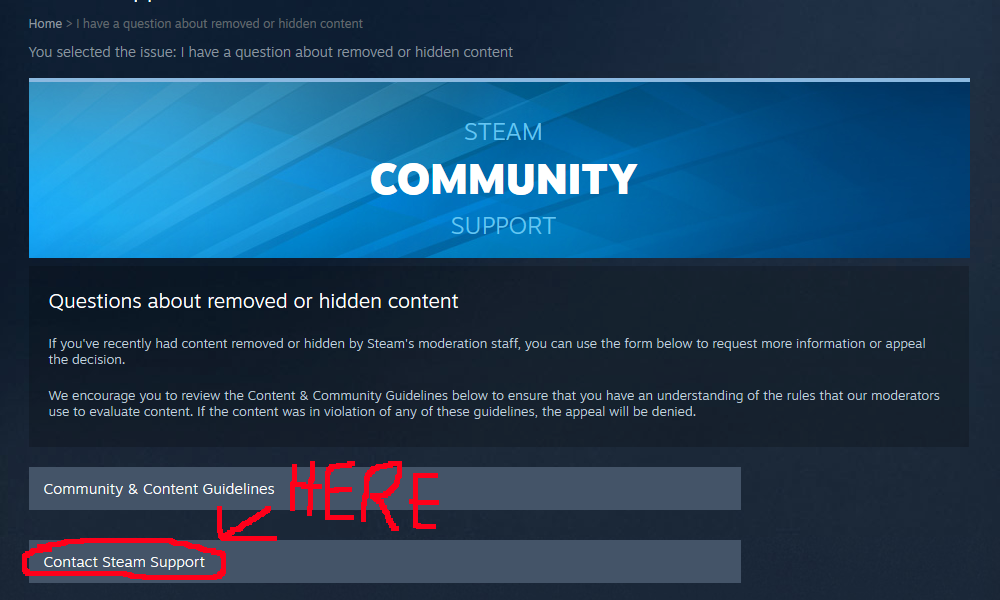 Steam Community: A Portal to the World of Gaming and Beyond