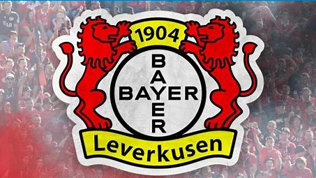 Bayer 04 Leverkusen Standings: A Comprehensive Overview